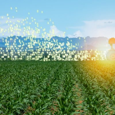 Artificial intelligence in agriculture