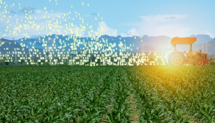 Artificial intelligence in agriculture