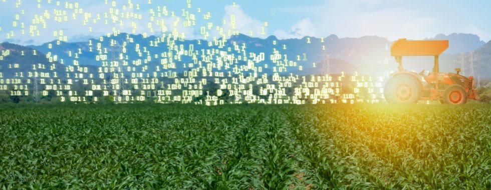 Artificial intelligence in agriculture