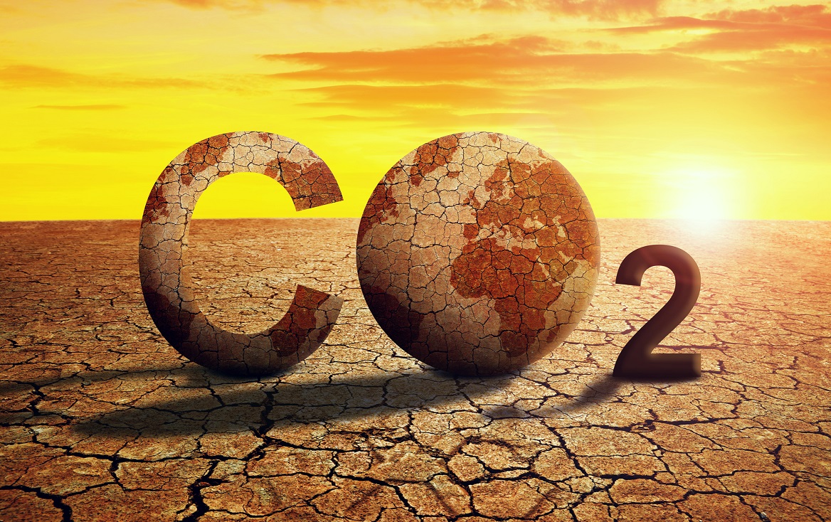 Secuestro del carbono en el suelo y el cambio climático