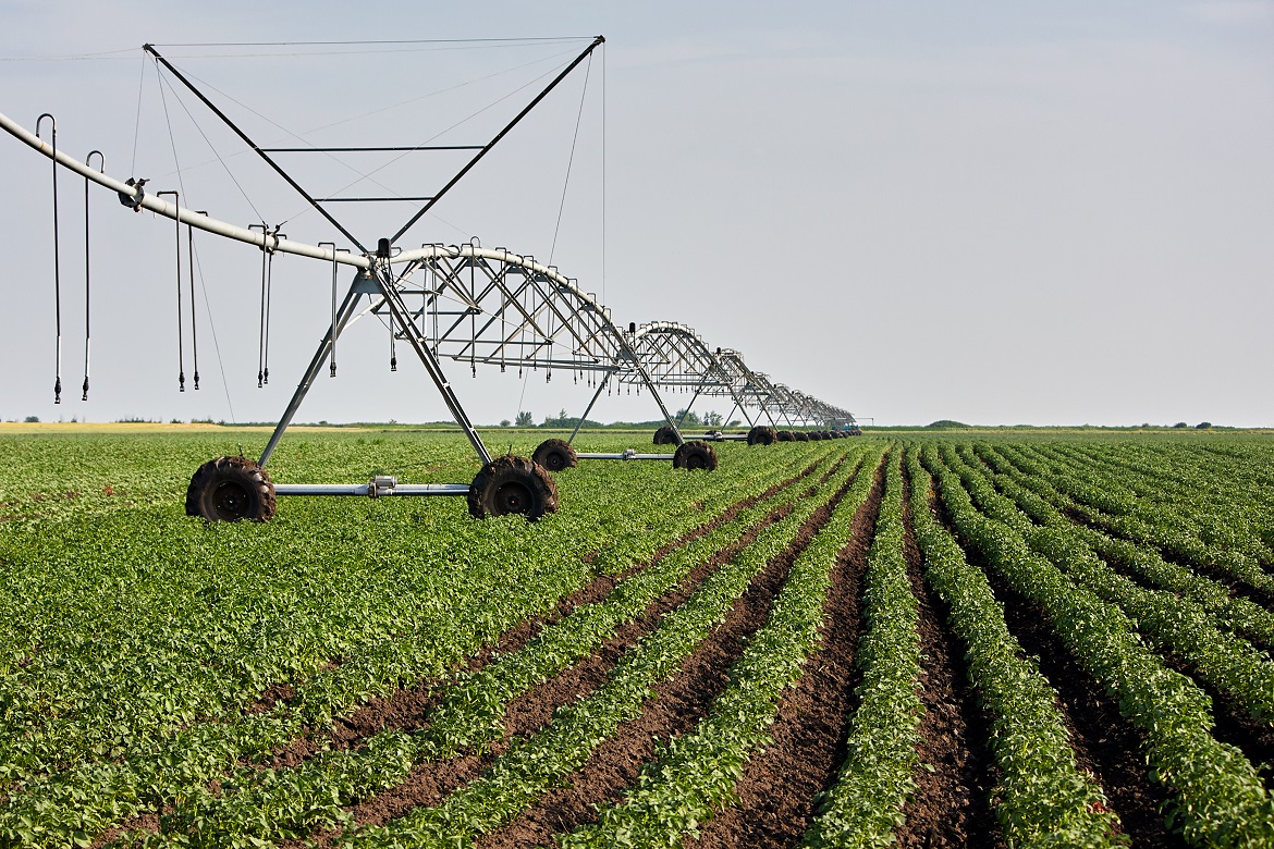irrigation system design