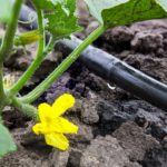 Fertigation