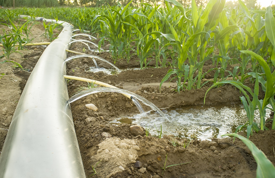 Irrigation System Plan And Design