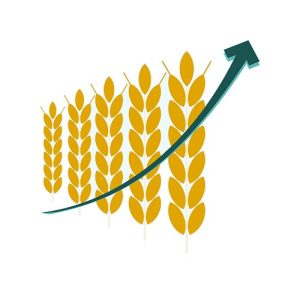 An illustration of golden wheat crops with an upward green arrow