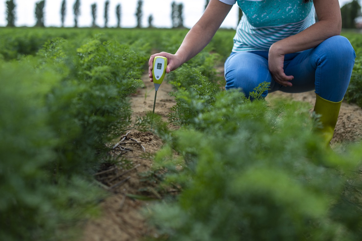 Cuán importante es el uso de cal en la agricultura?