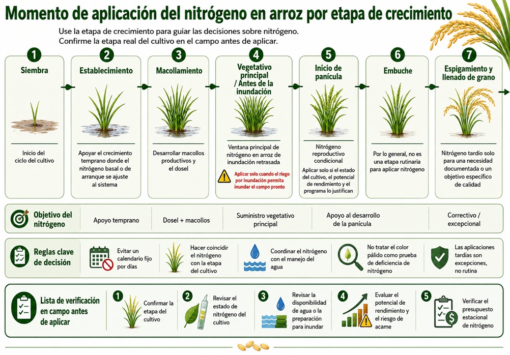 Momento de aplicación de nitrógeno en arroz por etapa de crecimiento