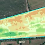 NDVI map
