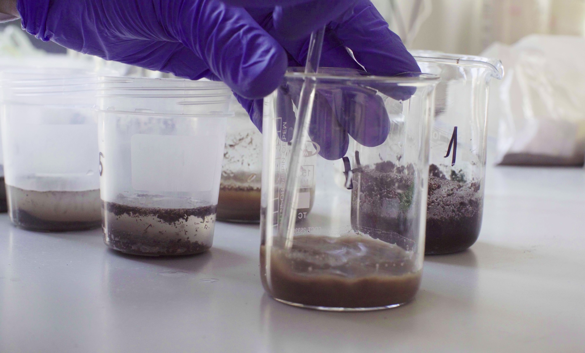Testing Soil Phosphorus Levels: Methods and Interpretation