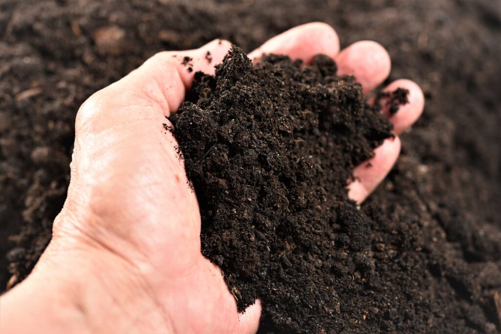 What Are The Sources Of Organic Matter In Soil