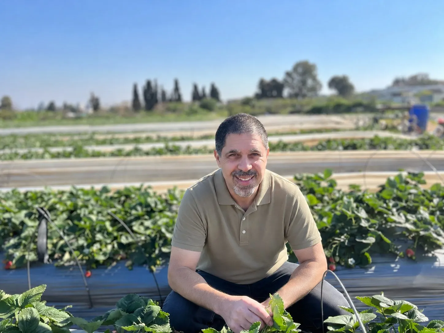 Guy Sela strawberry field